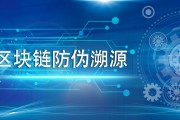 区块链为什么有防伪码(区块链防伪溯源解决方案)