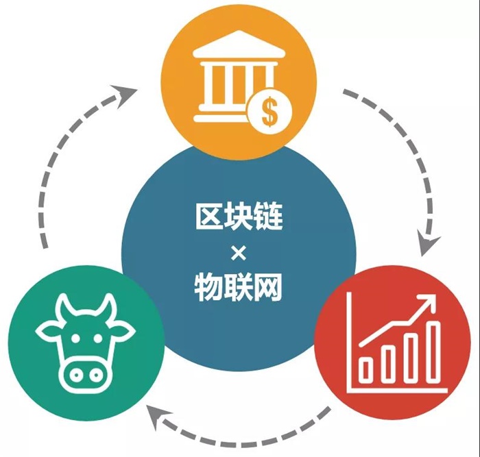 用区块链做什么好玩的(用区块链做什么好玩的手工) 用区块链做什么好玩的(用区块链做什么好玩的手工)